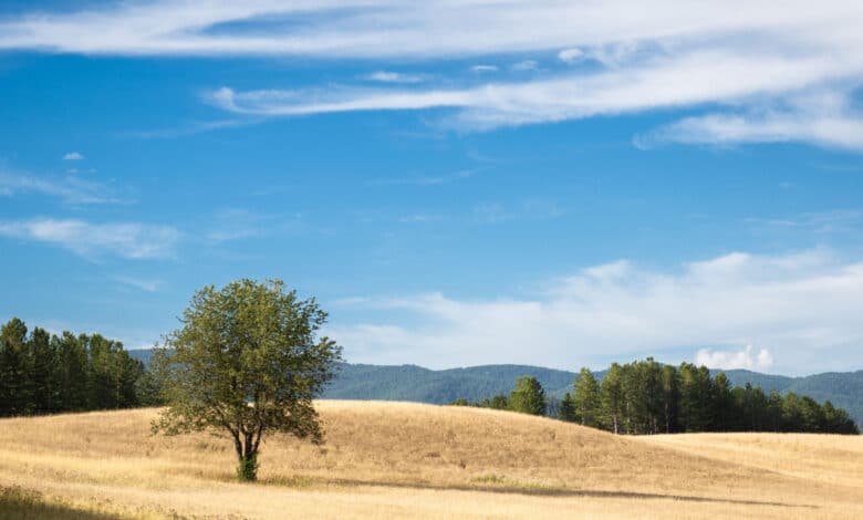 parco nazionale della Sila