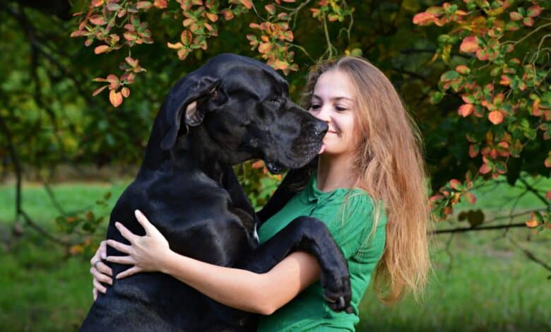 cane più grande del mondo
