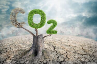 Biossido di carbonio: cos’è, inquinamento e come ridurlo