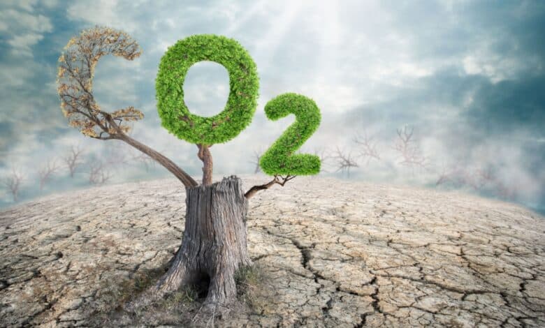 Biossido di carbonio