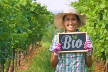 Tutto sul vino biologico e l’etichetta sostenibile