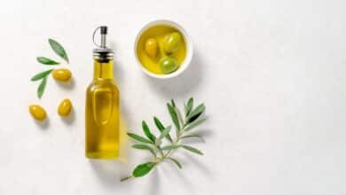 La guida per l'oliva fatto in casa