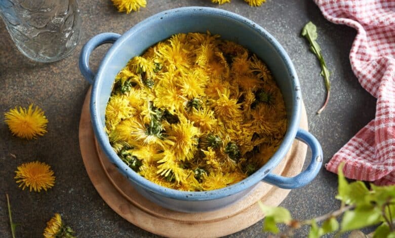 A cosa serve il tarassaco