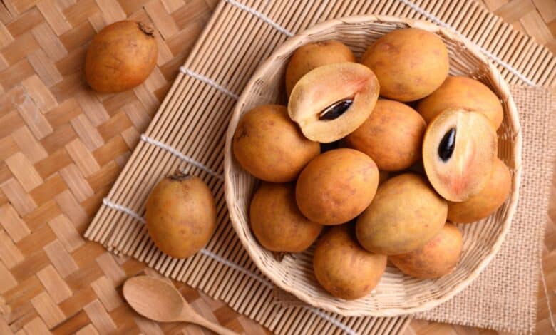 sapodilla