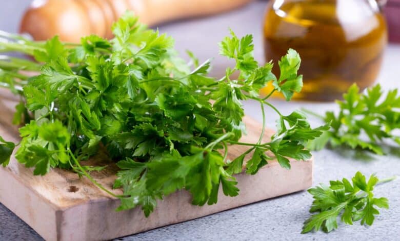come conservare il prezzemolo
