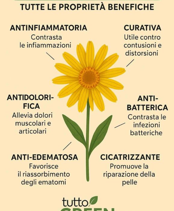 A cosa serve l'arnica