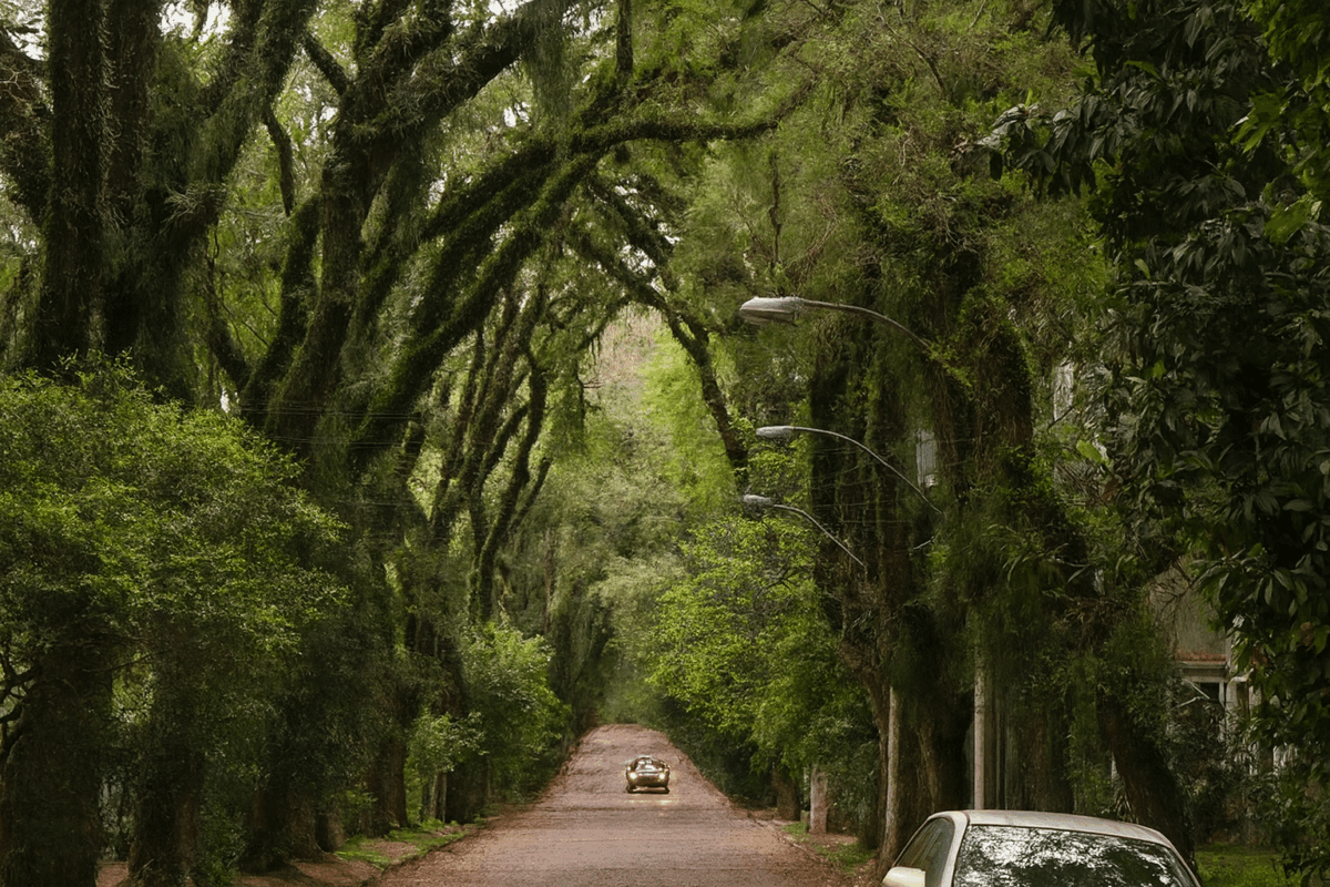 Rua Gonçalo de Carvalho, a Porto Alegre in Brasile