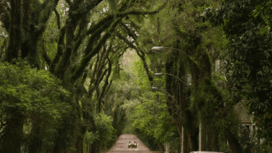 Rua Gonçalo de Carvalho, a Porto Alegre in Brasile