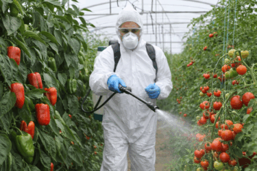 Pesticidi nei cibi: guida semplice per consumare in modo più consapevole