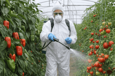 Pesticidi nei cibi: guida semplice per consumare in modo più consapevole