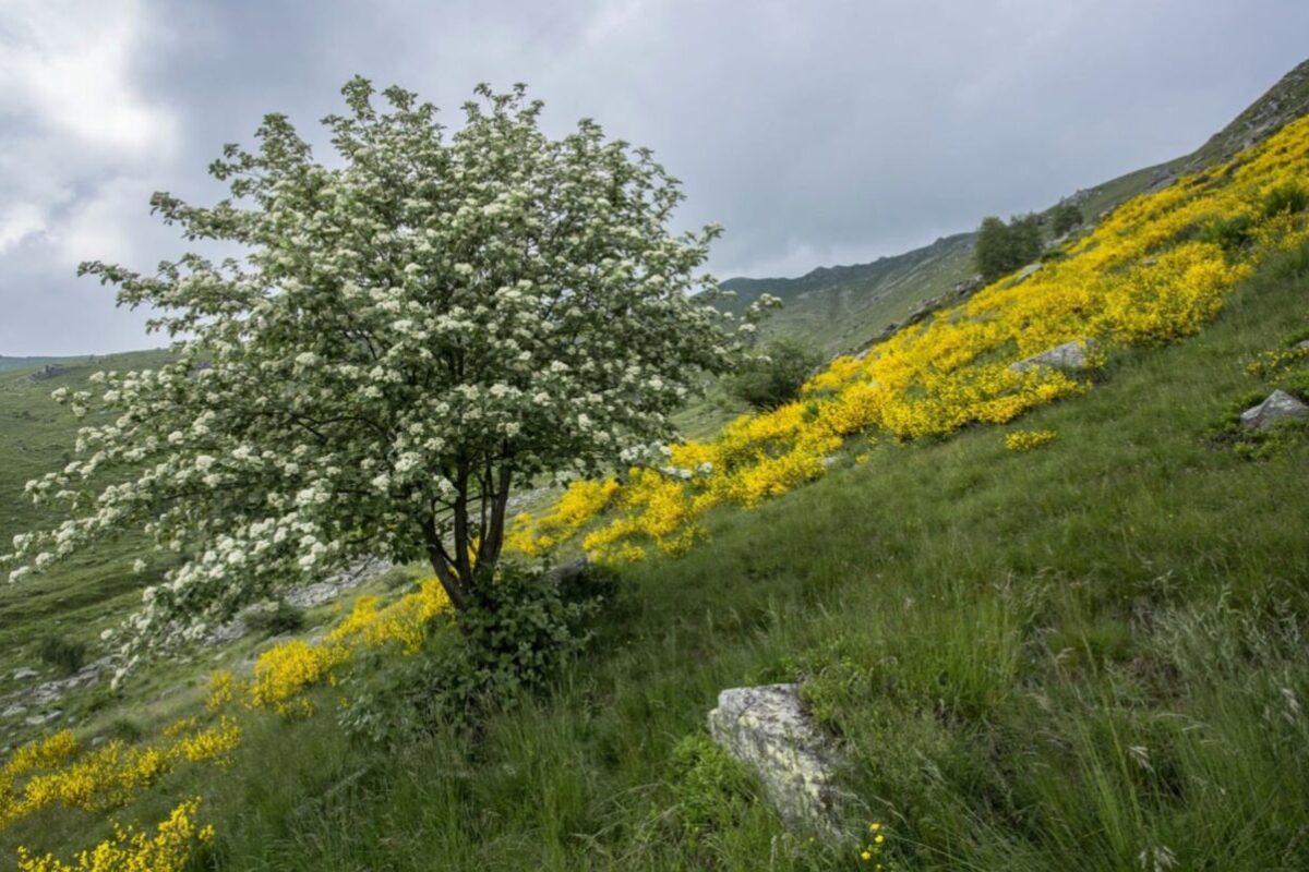 Riserva di Torreguaceto - Foto dal sito ufficiale riservaditorreguaceto.it