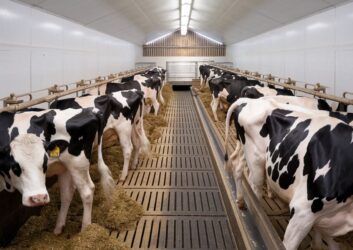 Normativa sul benessere animale: obblighi UE e italiani