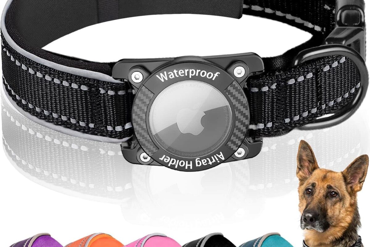 collare per cani con airtag