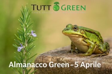 Almanacco Tuttogreen 5 Aprile 2025