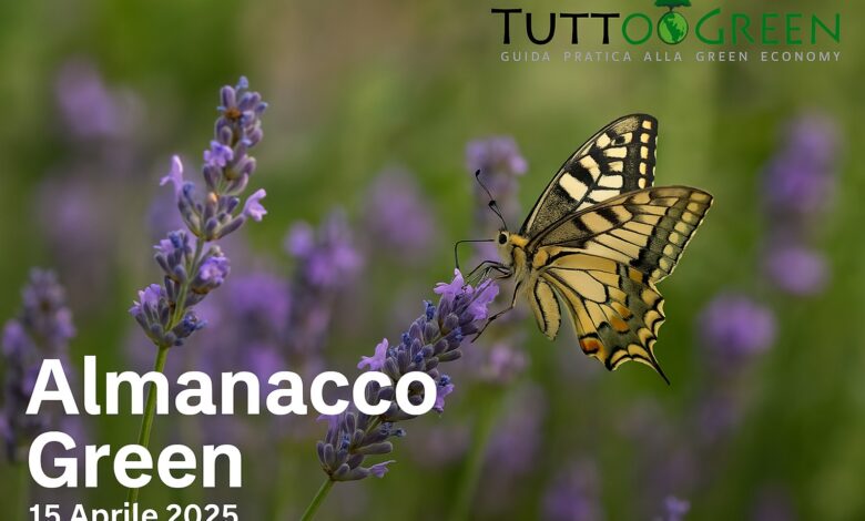 Almanacco Green del 15 Aprile 2025: lavanda, farfalla macaone e risveglio della natura