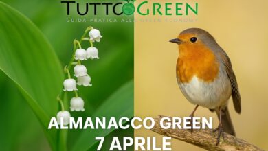 Almanacco Tuttogreen 7 Aprile 2025