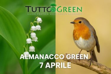 Almanacco Tuttogreen 7 Aprile 2025: mughetto, pettirosso e natura in fiore