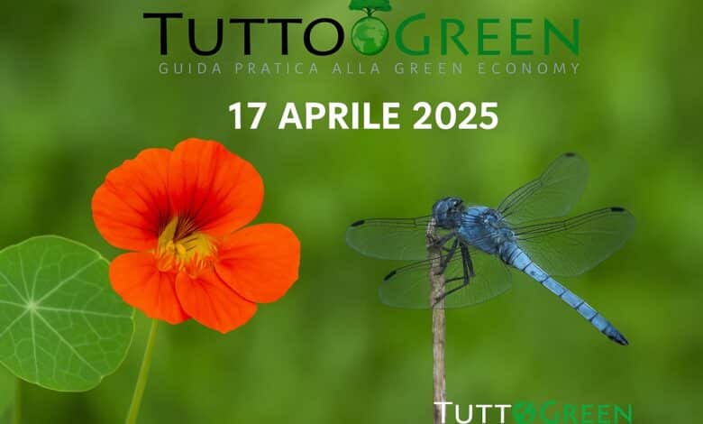 Scopri l’Almanacco Green di oggi, 17 aprile 2025: pianta e animale del giorno, eventi green, consigli eco e ispirazioni per vivere in armonia con la biodiversità