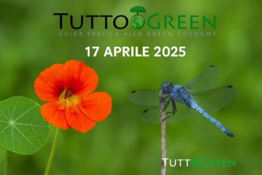Almanacco Green del 17 Aprile 2025: il nasturzio, la libellula ed una natura in equilibrio