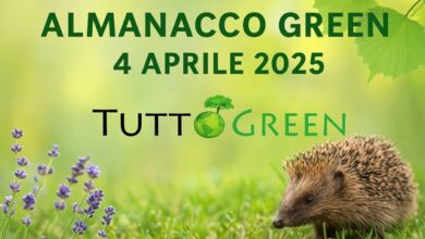 Almanacco Tuttogreen 4 Aprile 2025