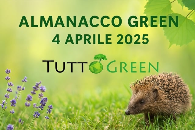 Almanacco Tuttogreen 4 Aprile 2025