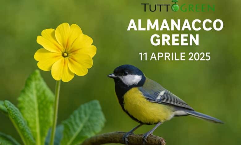 Almanacco Tuttogreen 11 Aprile 2025