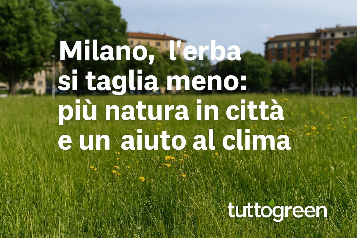 aree a sfalcio ridotto