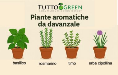 Le aromatiche da davanzale, verdi alleati per ogni finestra