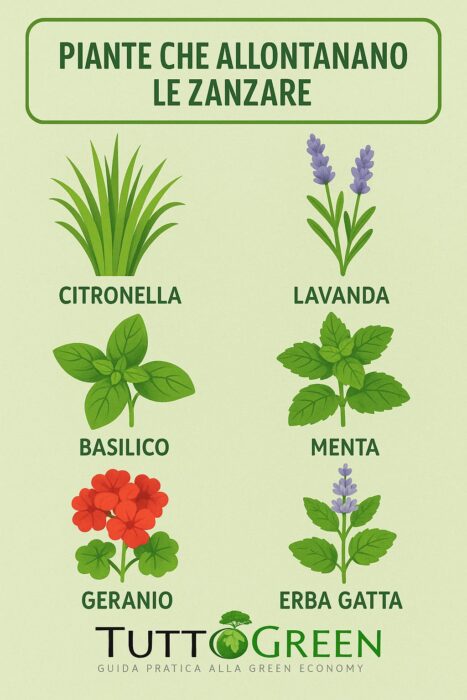 Rimedi naturali contro le zanzare 2025: piante, oli, ricette fai‑da‑te