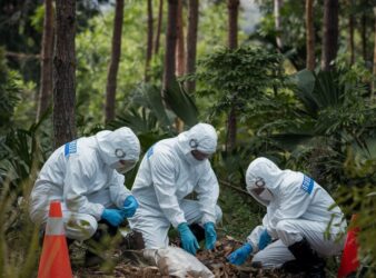 La botanica forense, una scienza che cerca di risolvere i delitti grazie un filo d’erba, un granello di polline o una foglia