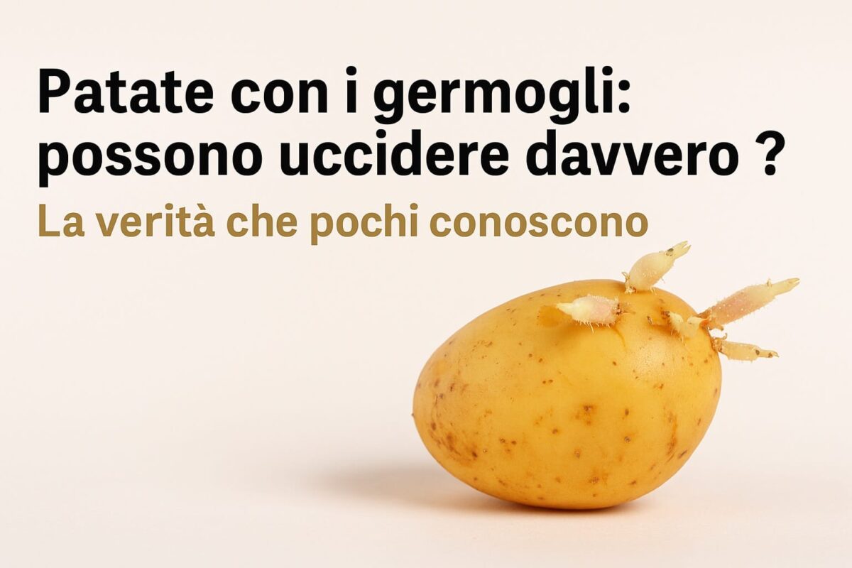 Patate con i germogli
