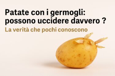 🥔 Patate con i germogli: possono uccidere davvero? La verità che pochi conoscono