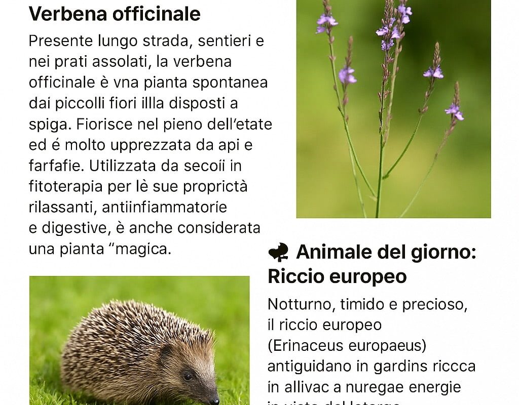 almanacco green 15 luglio