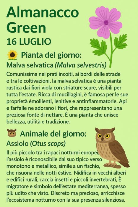 Almanacco Green 16 Luglio