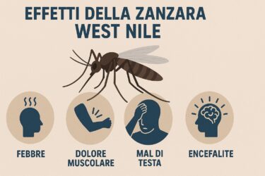 West Nile: la zanzara che torna a far paura in Italia