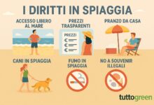 Spiaggia 2025