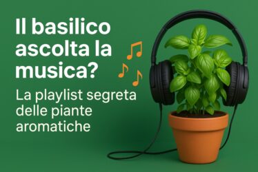 Il basilico ascolta la musica? Ecco la playlist segreta delle piante aromatiche
