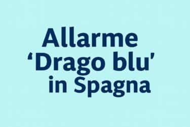 Allarme drago blu ad Alicante: cos’è il Glaucus atlanticus e perché è pericoloso