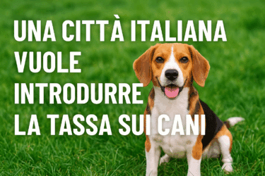 Bolzano vuole tassare i cani: cosa cambia per residenti e turisti