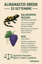 Almanacco Green 22 Settembre 2025, equinozio di Autunno