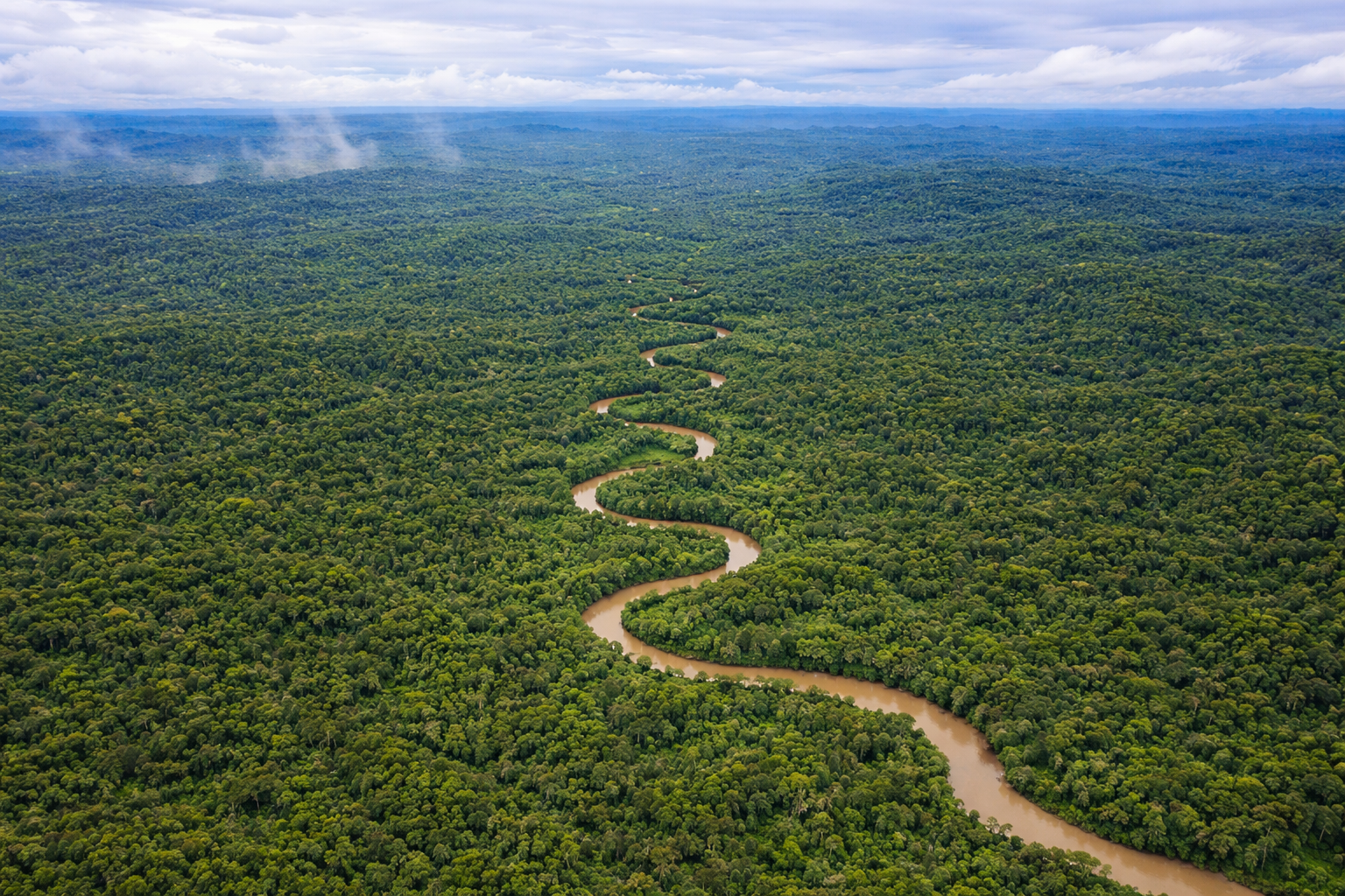 Vista aerea della foresta amazzonica con il Rio delle Amazzoni che serpeggia tra la vegetazione in una delle regioni più vaste e inesplorate della Terra