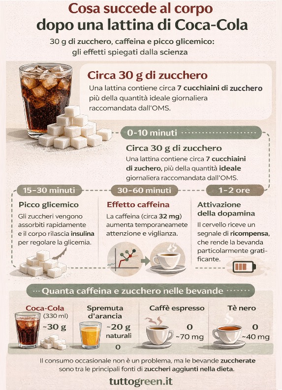 Infografica che mostra cosa succede al corpo dopo aver bevuto una lattina di Coca-Cola, con timeline degli effetti di zucchero, caffeina e picco glicemico