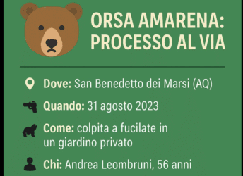Orsa Amarena: l’uomo che l’ha uccisa a fucilate andrà a processo