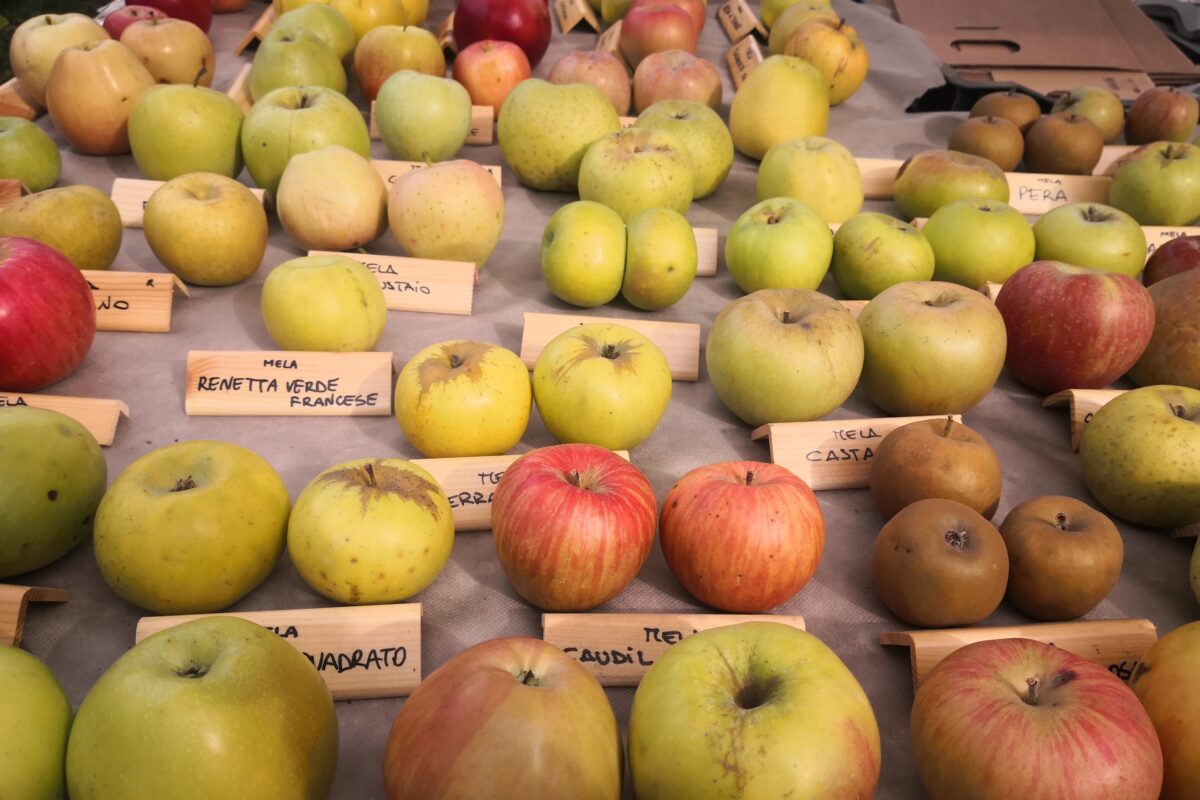 Quante varietà di mele esistono al mondo: dalle più famose alle più rare e curiose