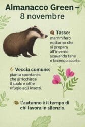 Almanacco Green dell’8 novembre: il tasso e la veccia, la forza silenziosa della natura