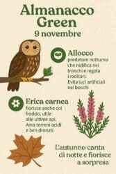 🌿 Almanacco Green del 9 novembre: l’allocco e l’erica, la vita che resiste al freddo