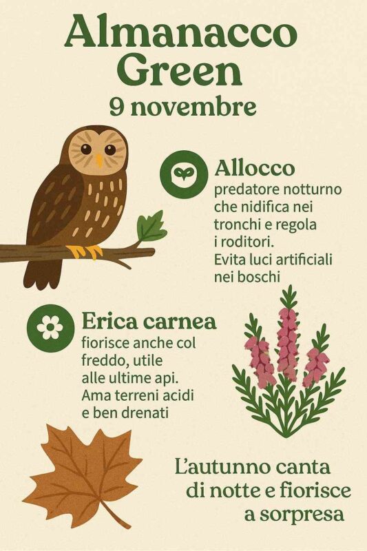 Almanacco Green 9 novembre