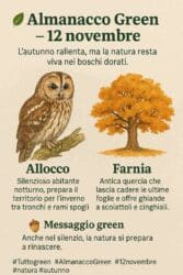 Almanacco Green del 12 novembre: l’allocco e la farnia, i custodi silenziosi dell’autunno
