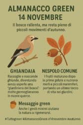 Almanacco Green del 14 novembre: la ghiandaia e il nespolo, la natura che rinasce dai piccoli gesti