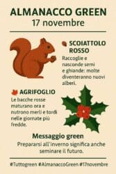 Almanacco Green del 17 novembre: lo scoiattolo e l’agrifoglio, il bosco che si prepara al futuro